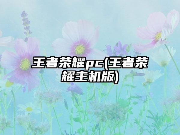 王者荣耀pc(王者荣耀主机版)