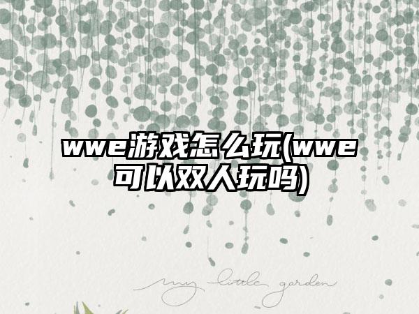 wwe游戏怎么玩(wwe可以双人玩吗)