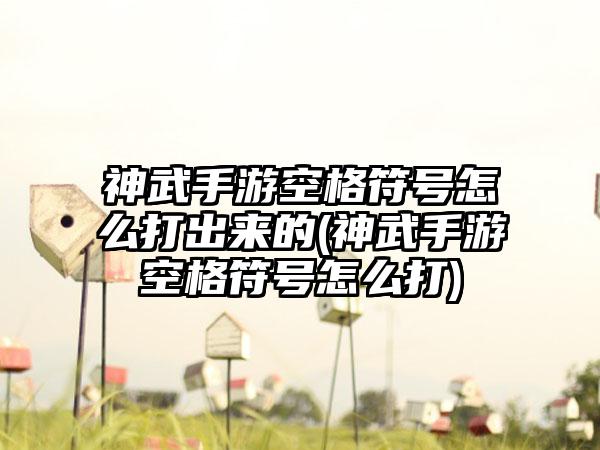 神武手游空格符号怎么打出来的(神武手游空格符号怎么打)