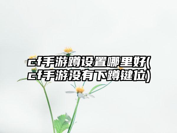 cf手游蹲设置哪里好(cf手游没有下蹲键位)