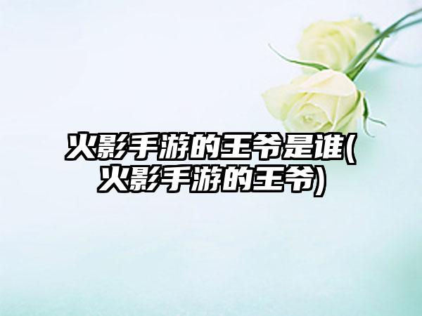 火影手游的王爷是谁(火影手游的王爷)