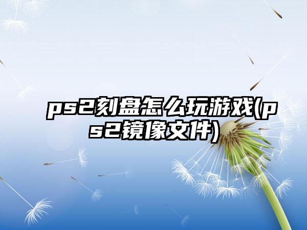 ps2刻盘怎么玩游戏(ps2镜像文件)