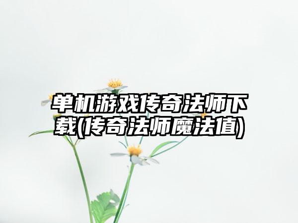 单机游戏传奇法师下载(传奇法师魔法值)
