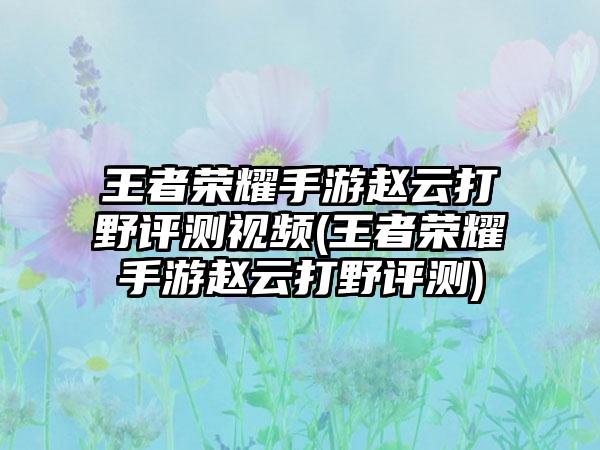 王者荣耀手游赵云打野评测视频(王者荣耀手游赵云打野评测)