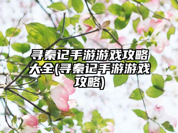寻秦记手游游戏攻略大全(寻秦记手游游戏攻略)