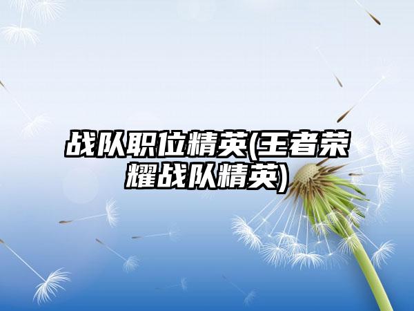 战队职位精英(王者荣耀战队精英)