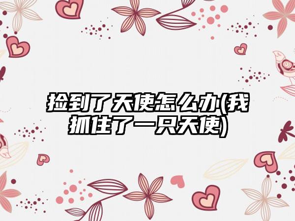 捡到了天使怎么办(我抓住了一只天使)