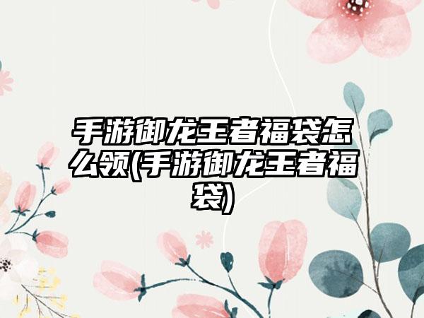 手游御龙王者福袋怎么领(手游御龙王者福袋)
