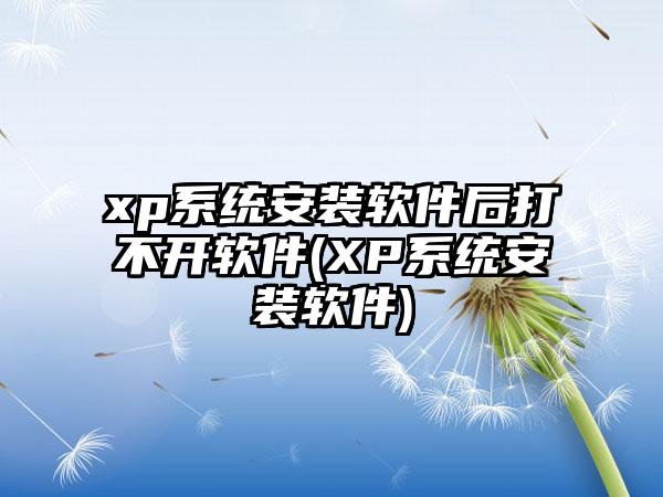 xp系统安装软件后打不开软件(XP系统安装软件)