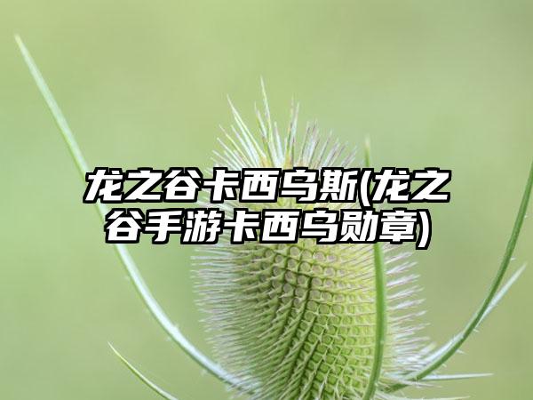 龙之谷卡西乌斯(龙之谷手游卡西乌勋章)