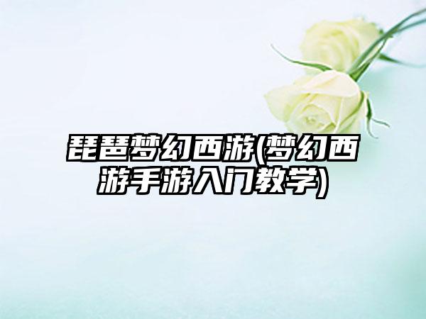 琵琶梦幻西游(梦幻西游手游入门教学)