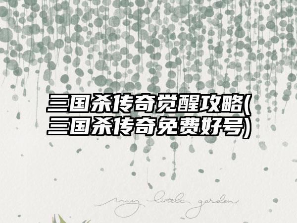 三国杀传奇觉醒攻略(三国杀传奇免费好号)