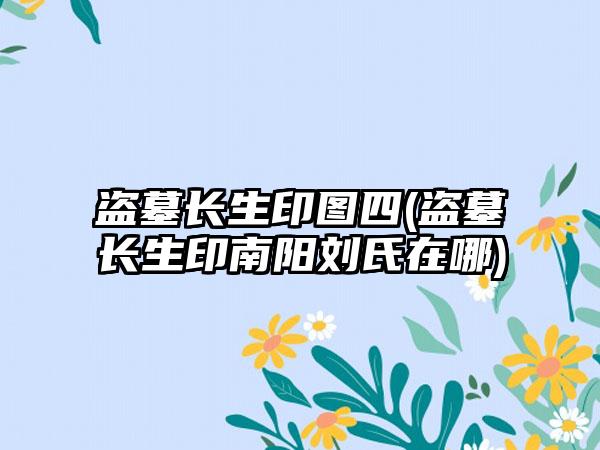 盗墓长生印图四(盗墓长生印南阳刘氏在哪)