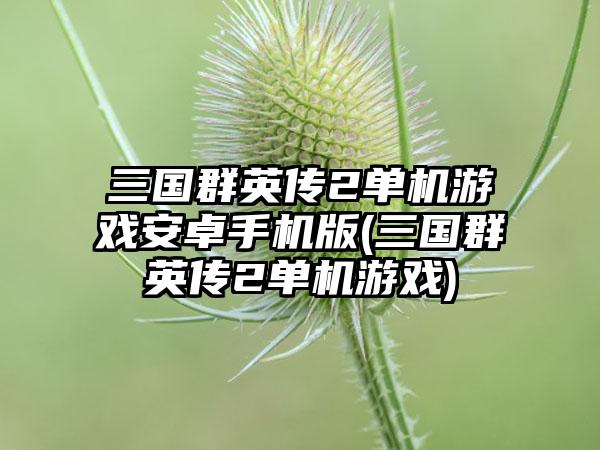 三国群英传2单机游戏安卓手机版(三国群英传2单机游戏)