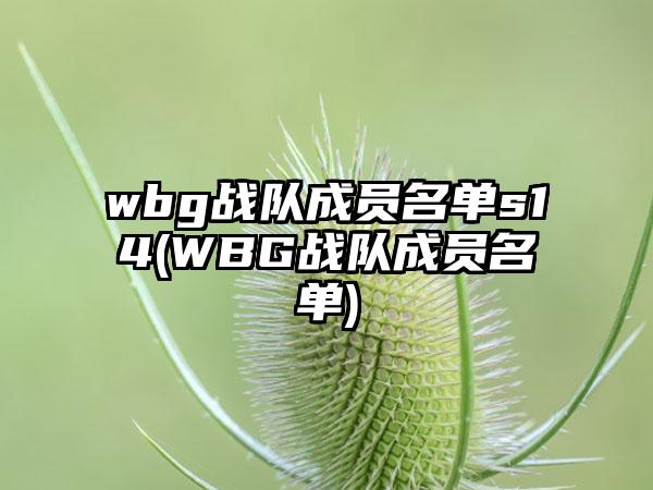 wbg战队成员名单s14(WBG战队成员名单)