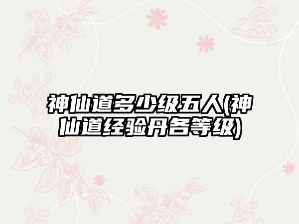 神仙道多少级五人(神仙道经验丹各等级)