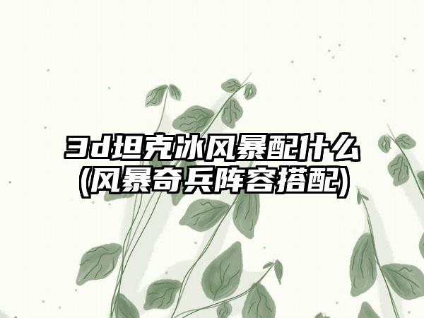 3d坦克冰风暴配什么(风暴奇兵阵容搭配)