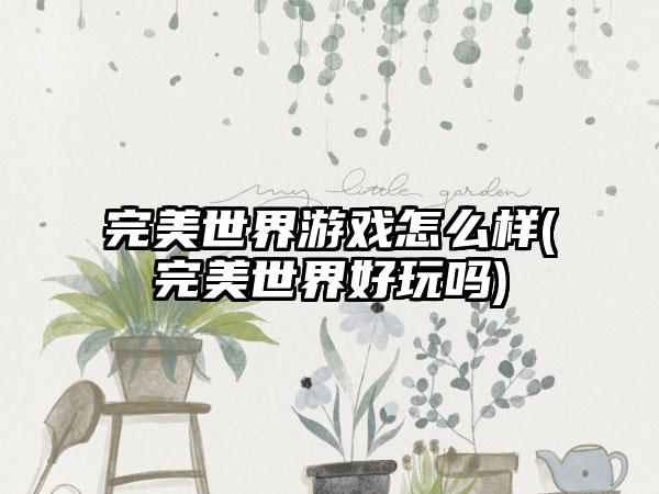 完美世界游戏怎么样(完美世界好玩吗)