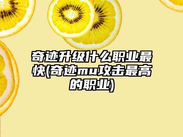 奇迹升级什么职业最快(奇迹mu攻击最高的职业)