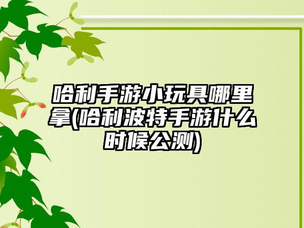 哈利手游小玩具哪里拿(哈利波特手游什么时候公测)