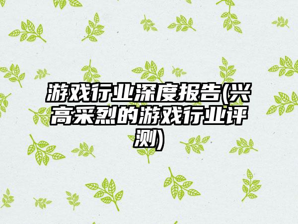 游戏行业深度报告(兴高采烈的游戏行业评测)
