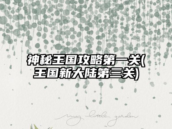 神秘王国攻略第一关(王国新大陆第三关)