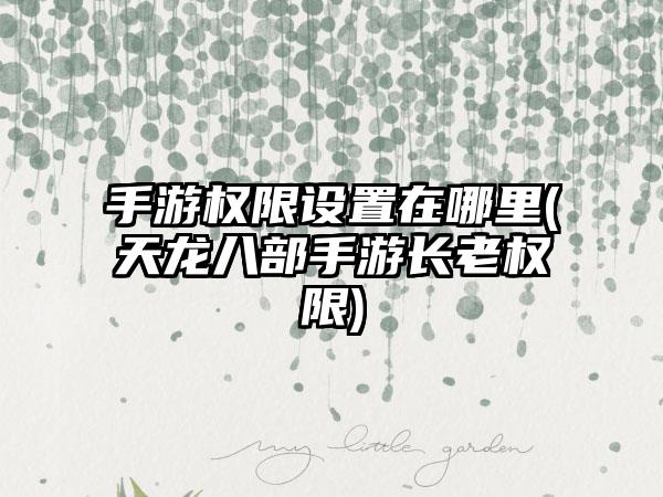手游权限设置在哪里(天龙八部手游长老权限)