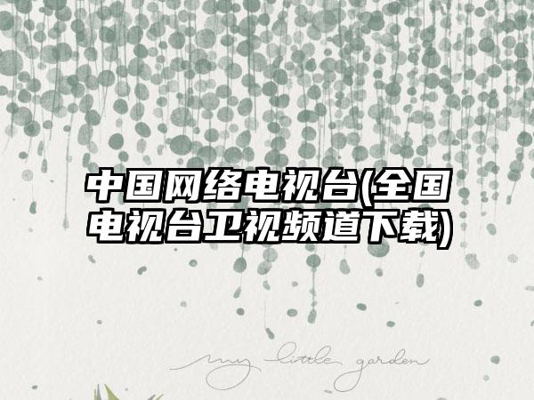 中国网络电视台(全国电视台卫视频道下载)