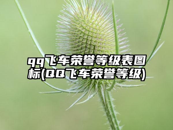 qq飞车荣誉等级表图标(QQ飞车荣誉等级)