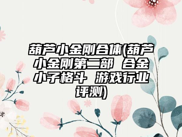 葫芦小金刚合体(葫芦小金刚第二部 合金小子格斗 游戏行业评测)