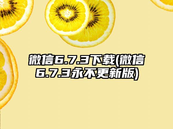 微信6.7.3下载(微信6.7.3永不更新版)