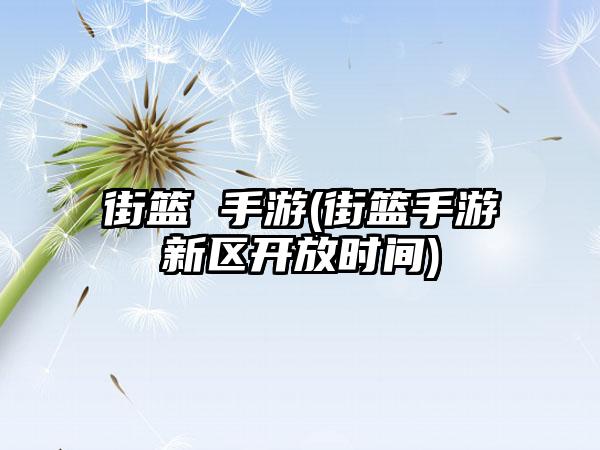 街篮 手游(街篮手游新区开放时间)