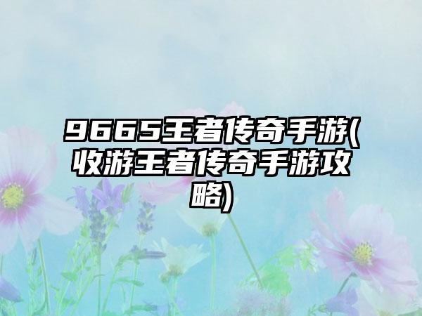 9665王者传奇手游(收游王者传奇手游攻略)
