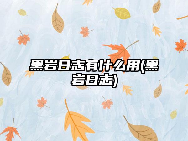 黑岩日志有什么用(黑岩日志)