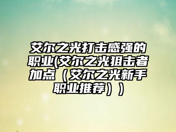 艾尔之光打击感强的职业(艾尔之光狙击者加点（艾尔之光新手职业推荐）)