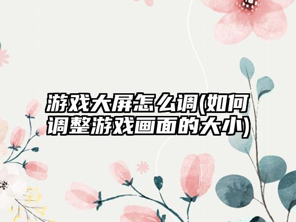 游戏大屏怎么调(如何调整游戏画面的大小)