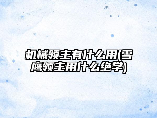 机械领主有什么用(雪鹰领主用什么绝学)