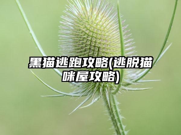 黑猫逃跑攻略(逃脱猫咪屋攻略)