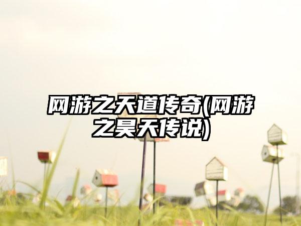 网游之天道传奇(网游之昊天传说)