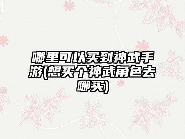 哪里可以买到神武手游(想买个神武角色去哪买)