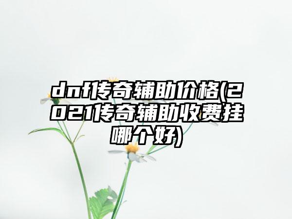 dnf传奇辅助价格(2021传奇辅助收费挂哪个好)