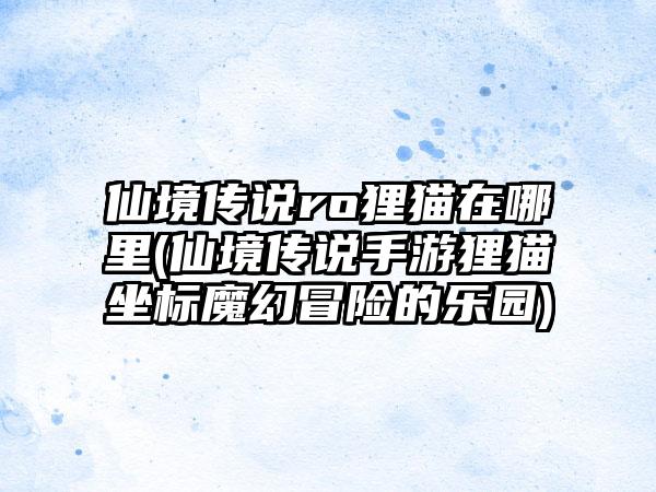 仙境传说ro狸猫在哪里(仙境传说手游狸猫坐标魔幻冒险的乐园)