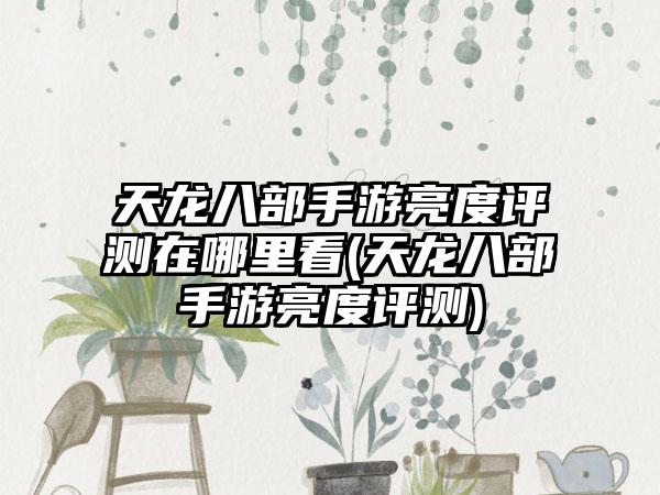 天龙八部手游亮度评测在哪里看(天龙八部手游亮度评测)