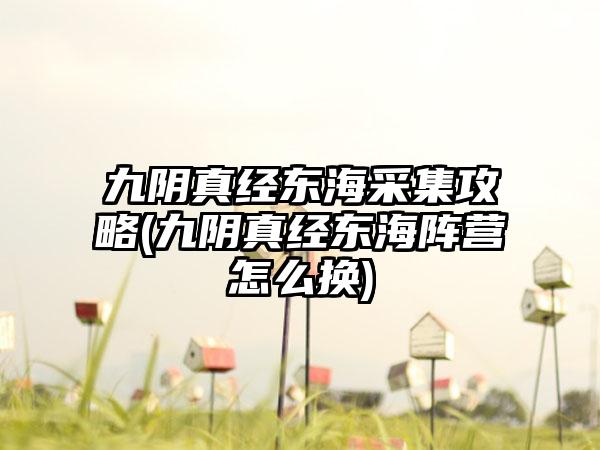 九阴真经东海采集攻略(九阴真经东海阵营怎么换)