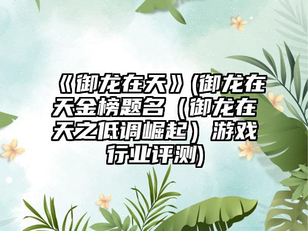 《御龙在天》(御龙在天金榜题名（御龙在天之低调崛起）游戏行业评测)