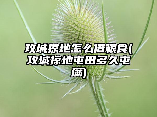 攻城掠地怎么借粮食(攻城掠地屯田多久屯满)