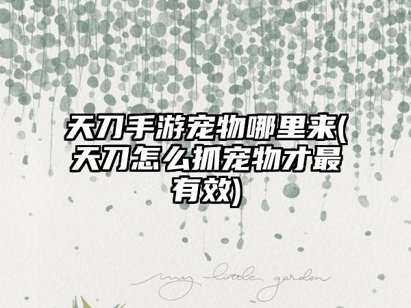 天刀手游宠物哪里来(天刀怎么抓宠物才最有效)