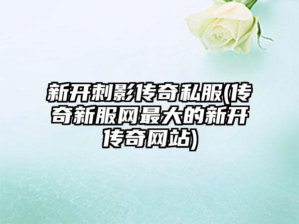 新开刺影传奇私服(传奇新服网最大的新开传奇网站)