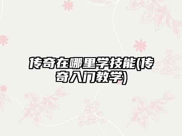 传奇在哪里学技能(传奇入门教学)