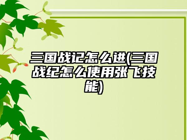三国战记怎么进(三国战纪怎么使用张飞技能)